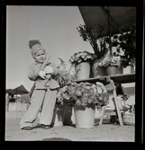 Svanqvist, Anita, fröken (2 ½ år dotter vaktmästare läroverket Karlstad).