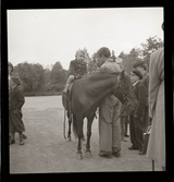 Skansen, småbarn rider på ponny, 12 juni 1944.