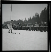 Eriksson, Harald, IFK Umeå.