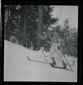 Eriksson, Harald, IFK Umeå.