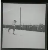 Löfgren, Curt, Hällefors.