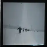 Sälen-kursen 1944 (Idrottsförbundet).