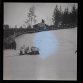 SM skidor, Falun, 1947.