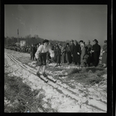 SM skidor, Falun, 1947.