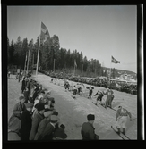 SM på skidor i Kramfors, 1945.