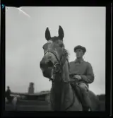 Silver Dream. Den engelskt importerade treåriga debuten 1946.