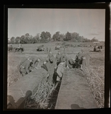 Militärbilder, inkallad.