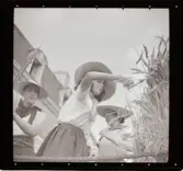 Congress de Costumes Breton