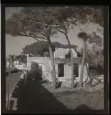 Cannes, december-januari 1948-1949.