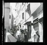 Allhem SP 21 Alger