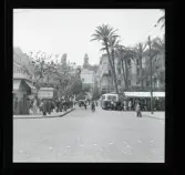 Allhem SP 25 Alger