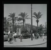 Allhem SP 81 Beirut