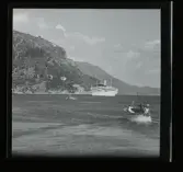 Allhem SP 184 Dubrovnik
