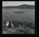 Allhem SP 191 Dubrovnik