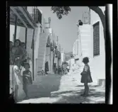 Allhem SP 251 Istanbul