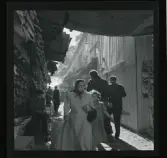 Allhem SP 267 Istanbul