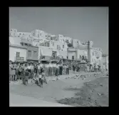 Allhem SP 289 Istanbul