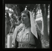 Allhem SP 482 Medelhavet