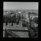 Allhem SP 493 Medelhavet