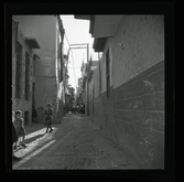 Allhem SP 495 Medelhavet