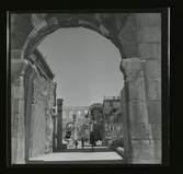 Allhem SP 507 Medelhavet