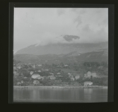 Allhem SP 516 Medelhavet