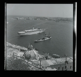 Allhem SP 533 Medelhavet