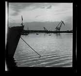 Allhem SP 547 Medelhavet