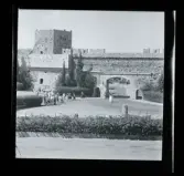 Allhem SP 681 Rhodos