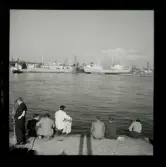 Allhem V 4049 Skåneland