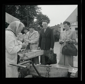 Allhem V 4074 Skåneland