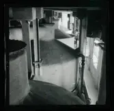 Allhem V 4339 Liljerothtagningar på Allhem