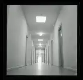 Allhem V 4342+1 Liljerothtagningar på Allhem