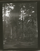 61/1941 Konrad Elméus