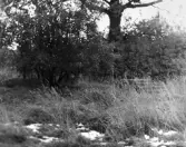 Hagsätra, banvaktsstugan