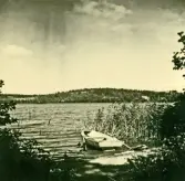 Malmsjön, Grödinge