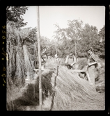  Skansen, Stockholm.