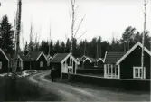 Hjortens odling, Fågelbro