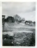 Västergården, Fågelbro