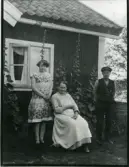 Södra Vreten, Fågelbro