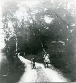 Alrotsvägen vid fastighet Fågelbro 28:3