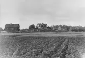 Elfsby gård 1890
