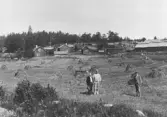 Kalfsviks gård 1890