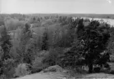 Kopparmora gård 1990