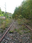 Övervuxet järnvägsspår vid Soabs industrianläggning i Mölndals Kvarnby, år 2007. Anläggningen användes vid fototillfället av Hexion Speciality Chemicals Sweden AB.