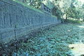 Mycket ogräs vid stenmur, 1990-tal