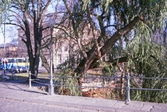 En skymt av Karolinska skolan, 1990-tal