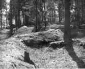 Karlslund, strax söder om Frestavägen