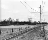 Lugnet, platsen för torpet Östra Arninge,