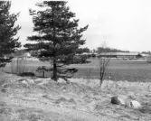 Löfhagen Väster Arninge (Platsen för)